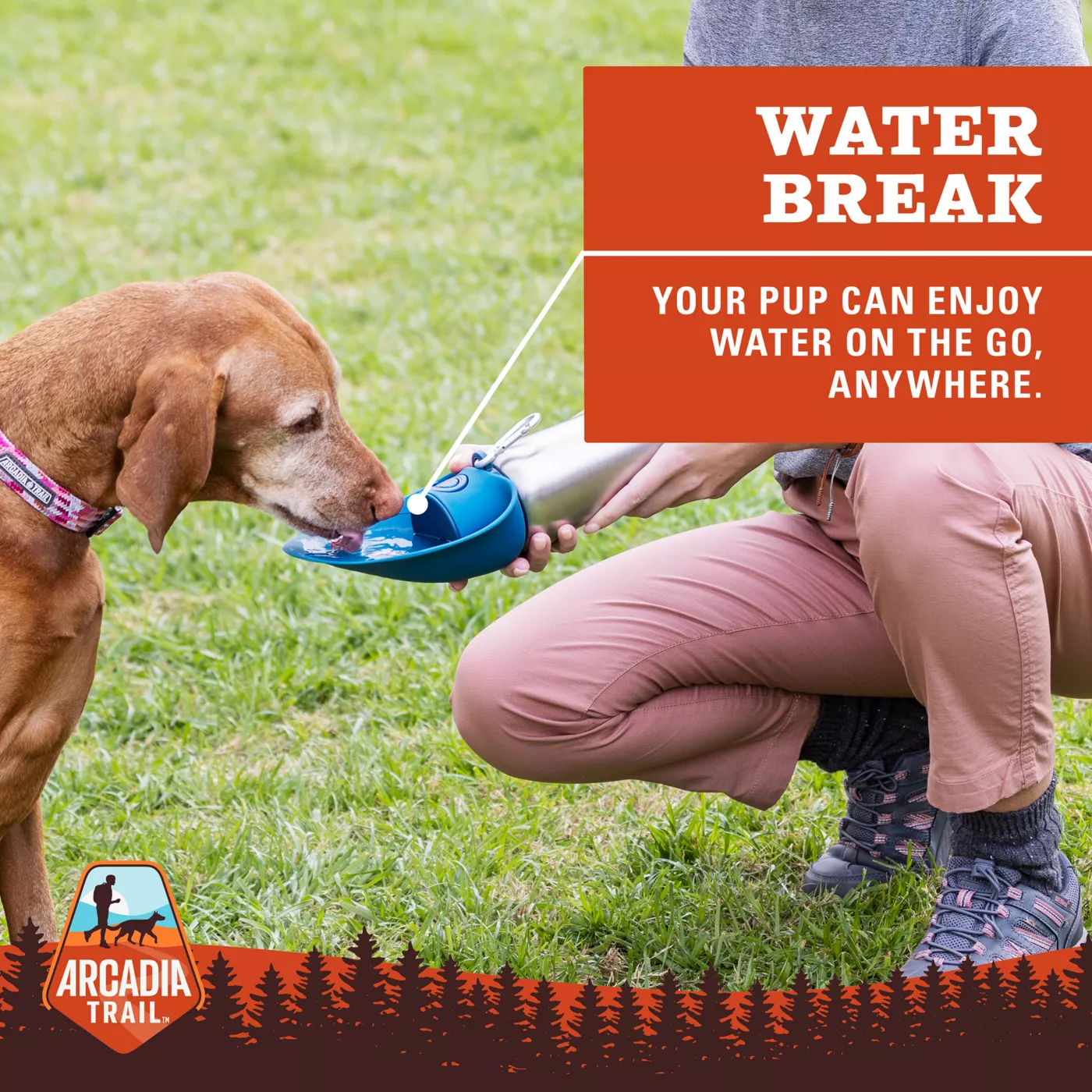 Dog orders water bottle petsmart