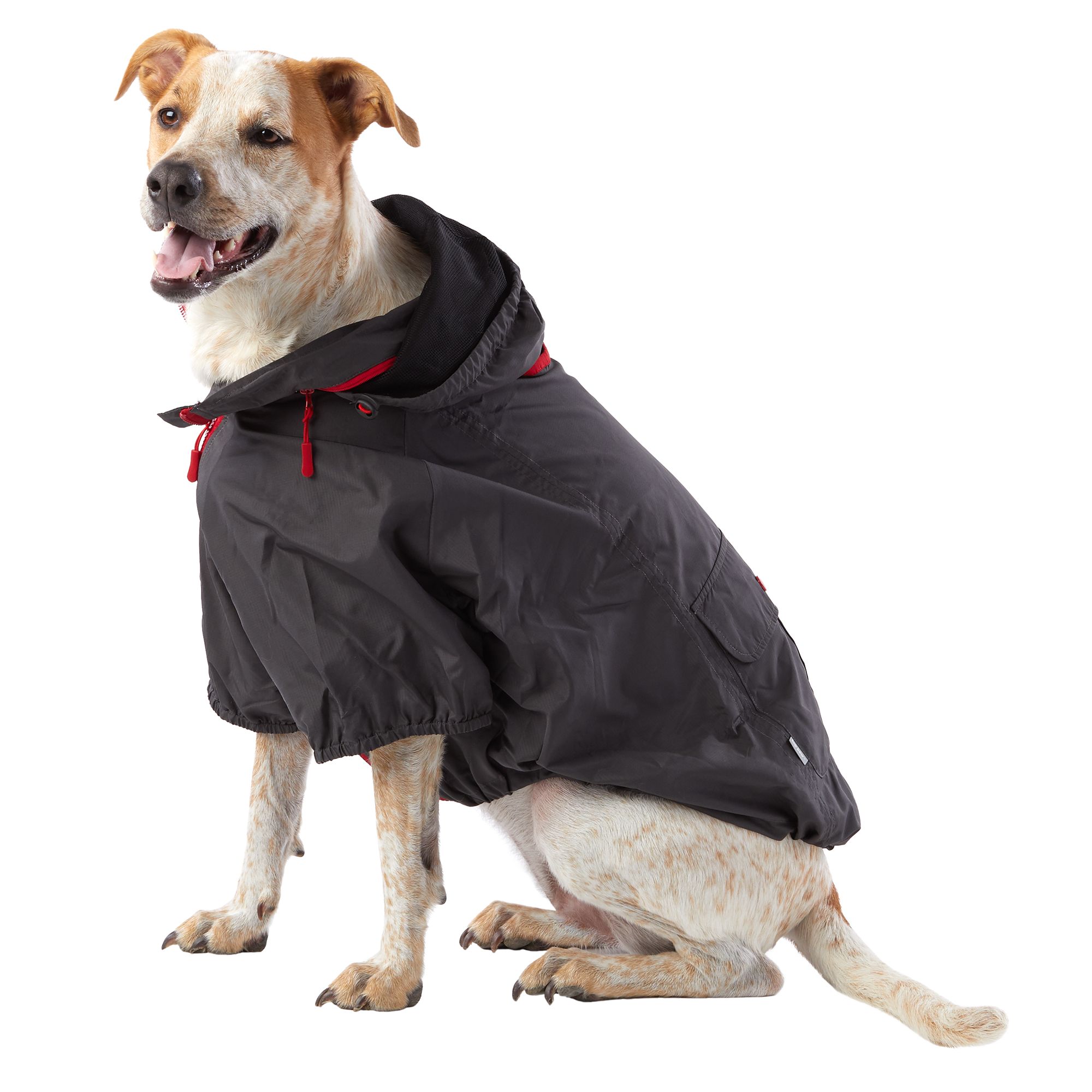 petsmart dog jackets