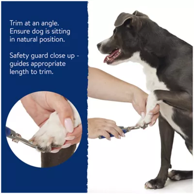 Product Top Paw® Pet Nail Clipper