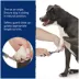 Top Paw® Pet Nail Clipper image thumbnail 4