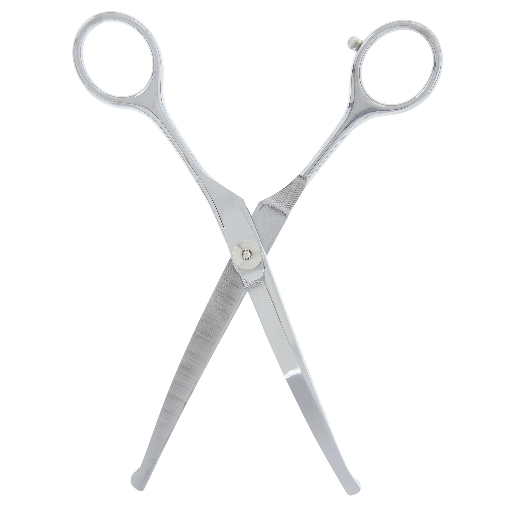 Top Paw Curved Ball Tip Pet Hair Scissors