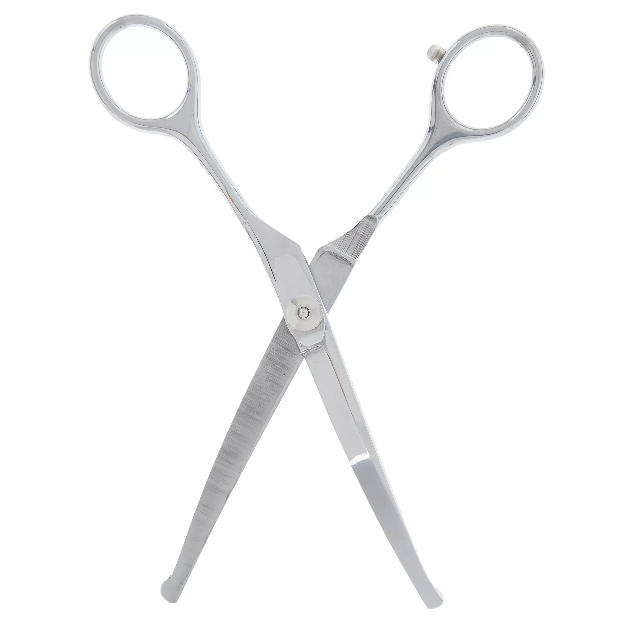 Top Paw® Curved Ball Tip Pet Hair Scissors