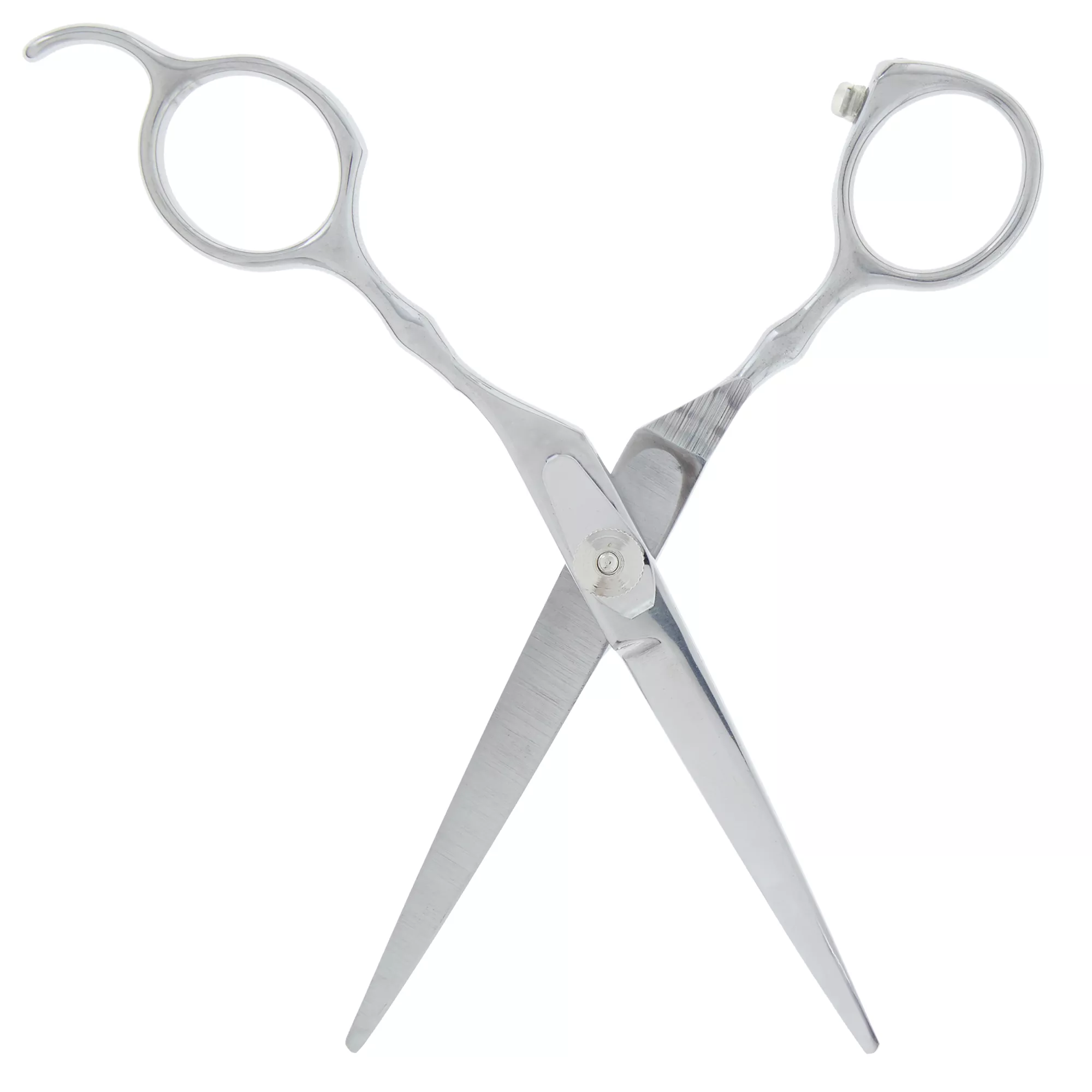 Top Paw® Metal Straight Pet Hair Scissors