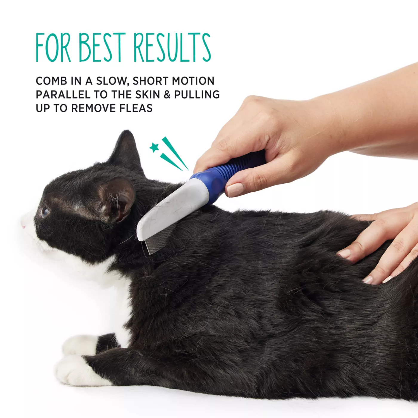 Whisker City Cat Flea Comb