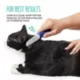 Product Whisker City® Cat Flea Comb