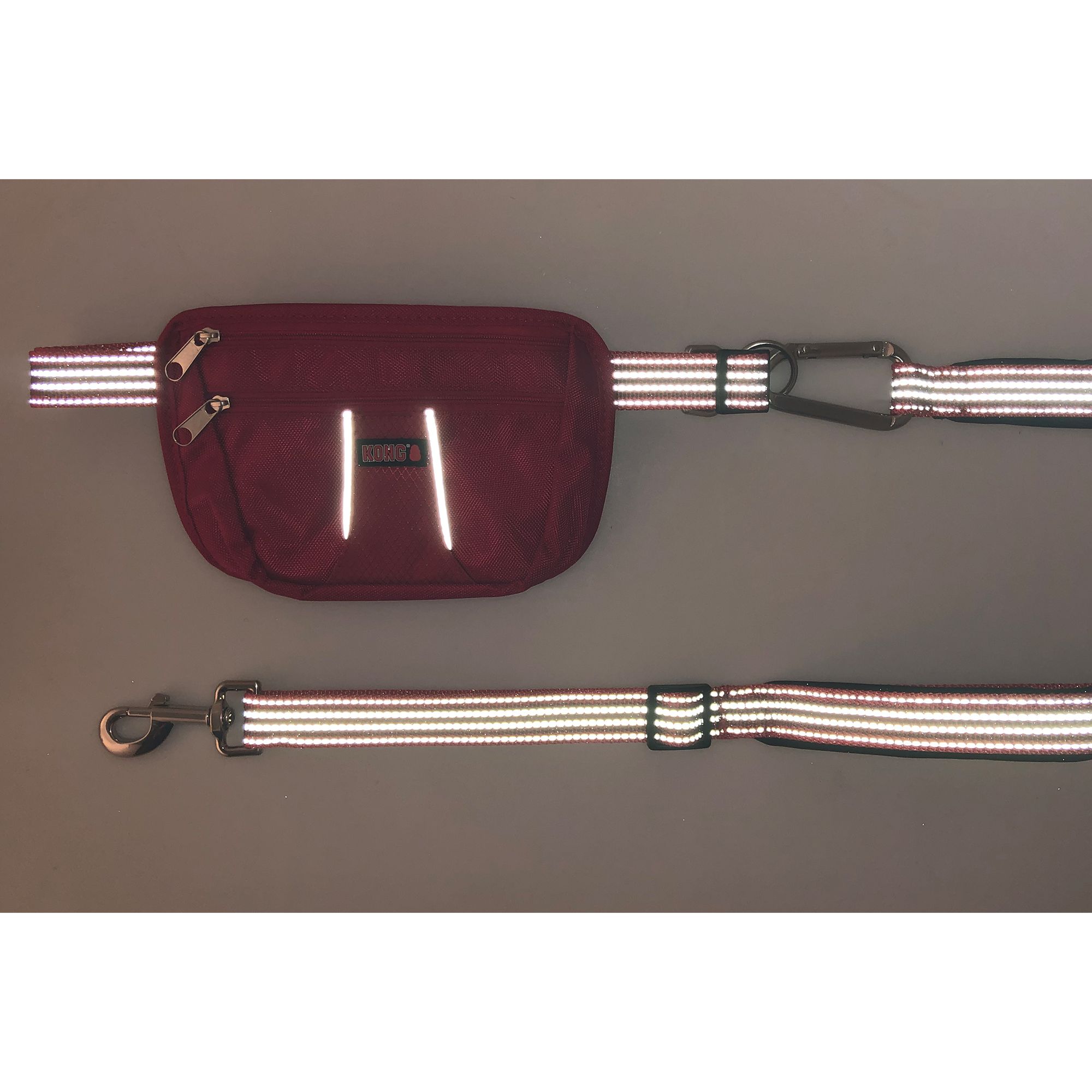 kong hands free leash with pouch