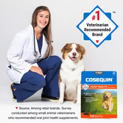 Product Nutramax® Cosequin® DS Joint Health Supplement for Dogs - Soft Chews with MSM & Boswellia