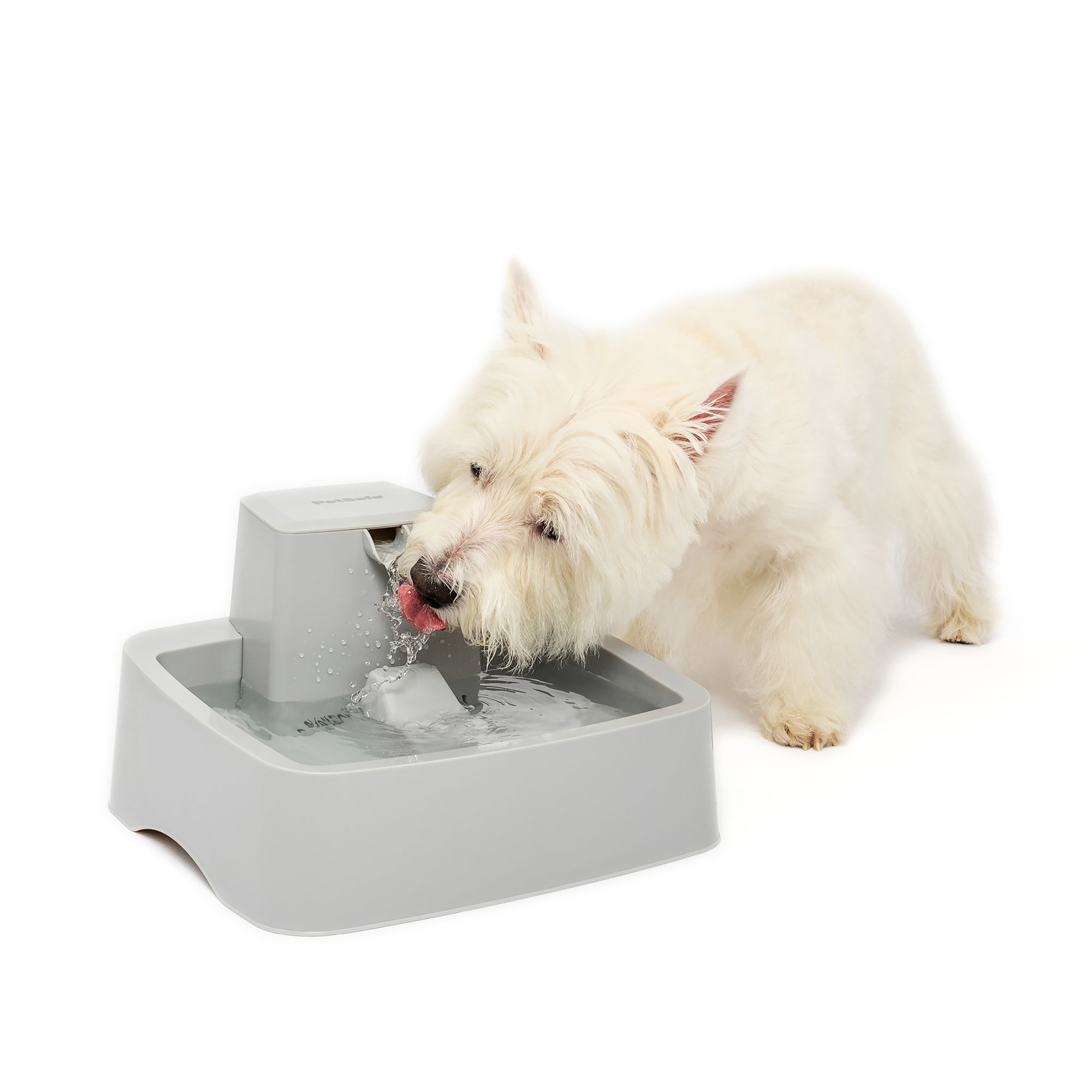 Petsmart dog shop water dispenser