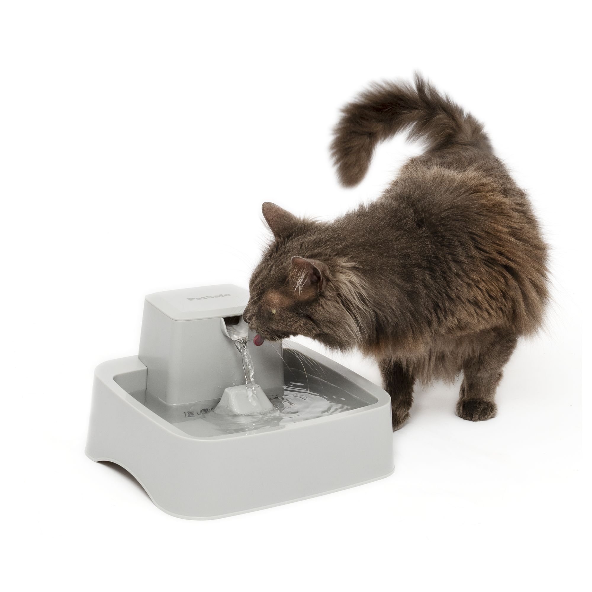 Pet water bubbler hotsell