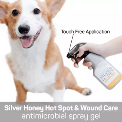 Absorbine Silver Honey Hot Spot Wound Care Spray Gel