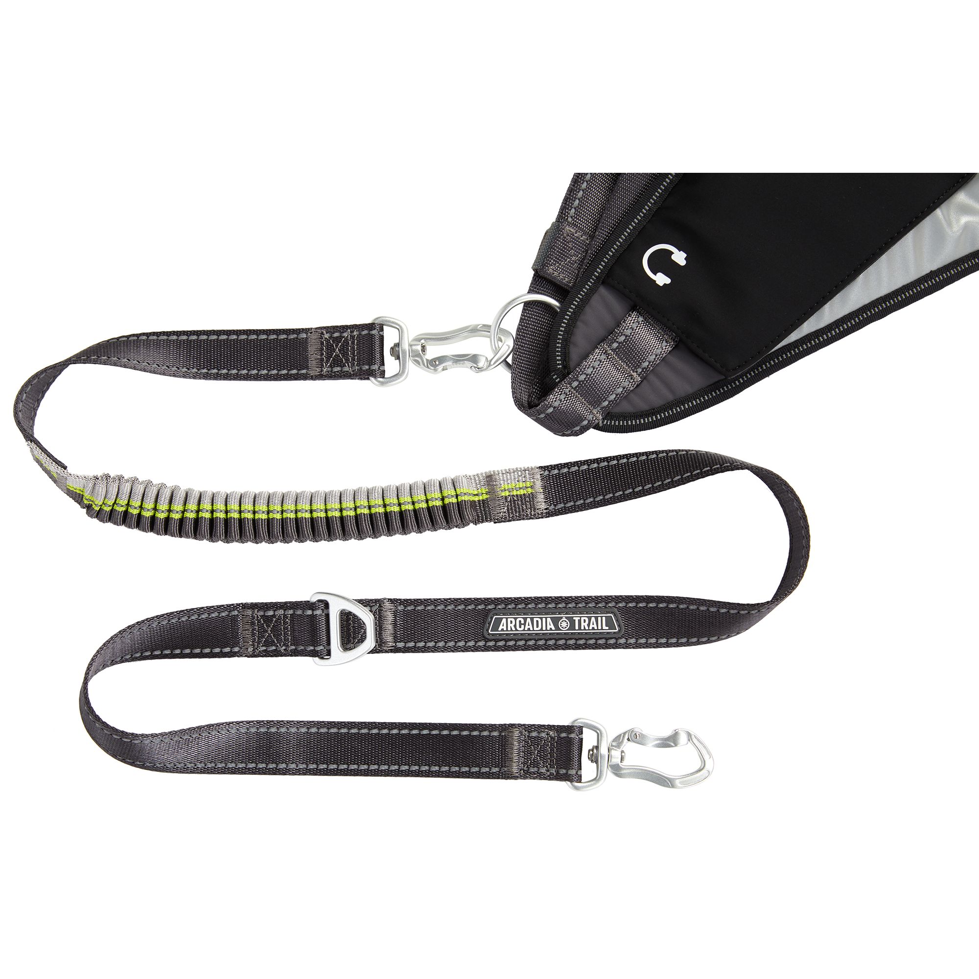 Slip lead best sale leash petsmart