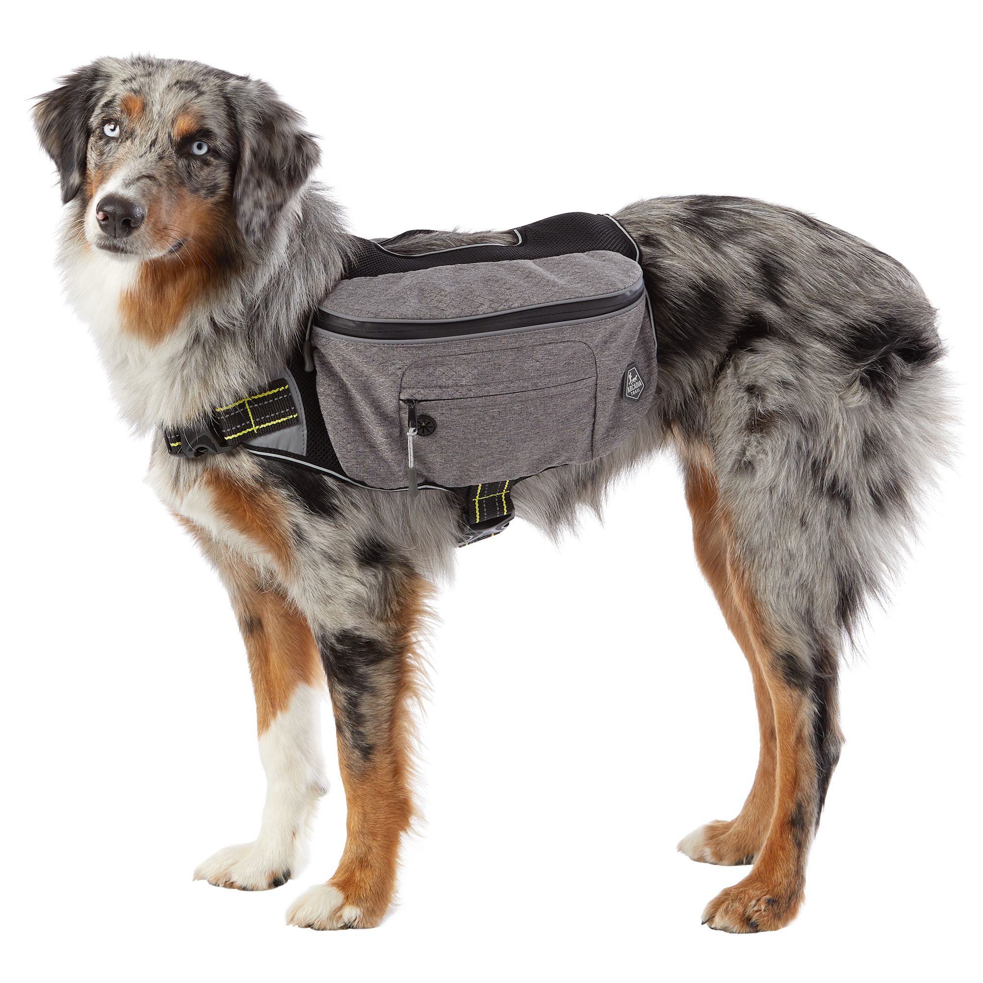 Arcadia Trail Dog Backpack: Reflective 