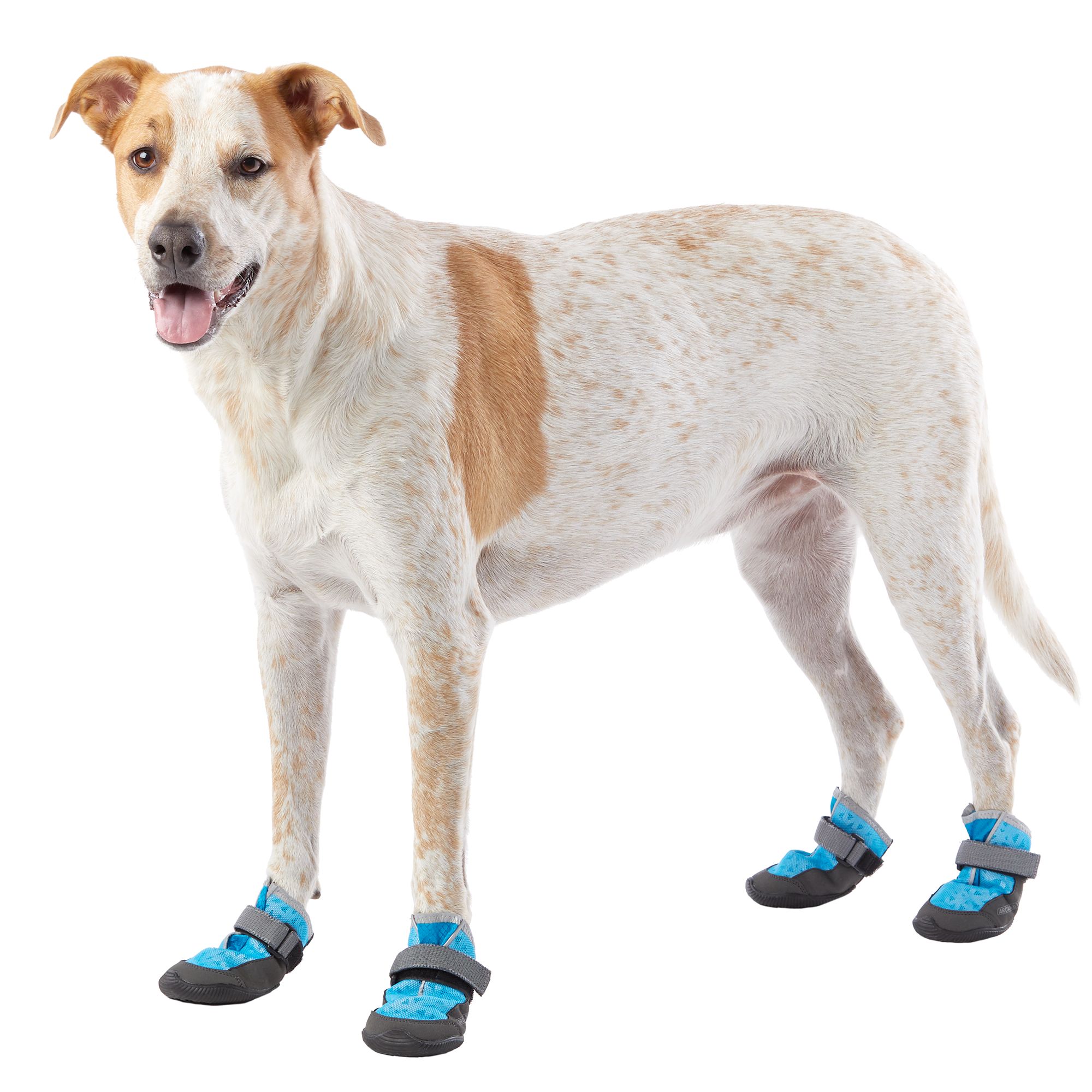 dog shoes and boots