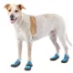 Product Arcadia Trail™ Warm Weather Dog Boots