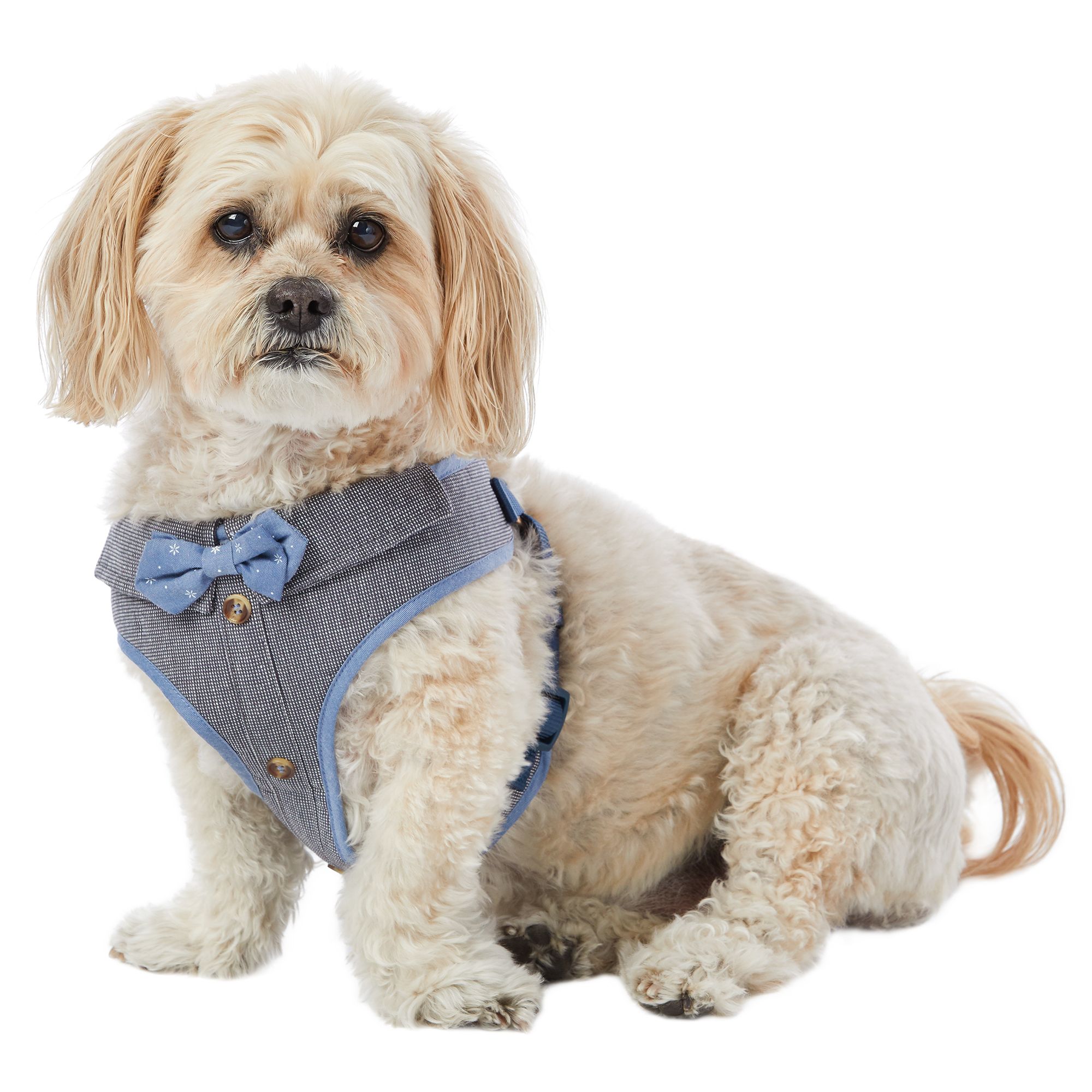 gooby harness petsmart