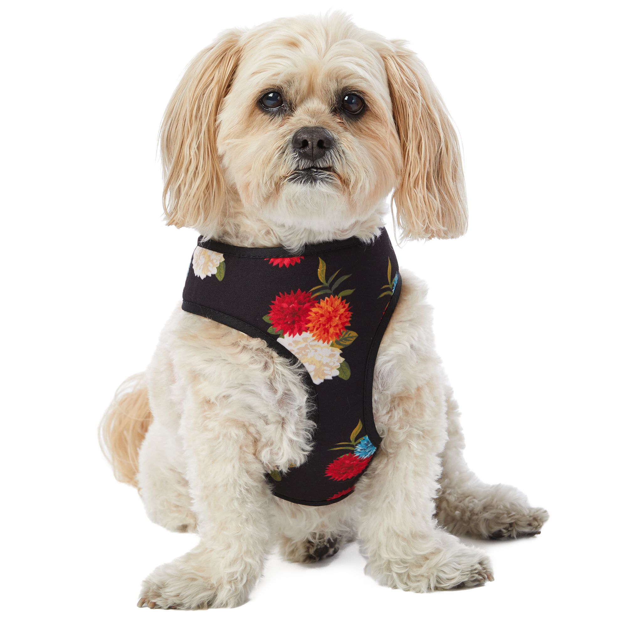 top paw comfort harness large