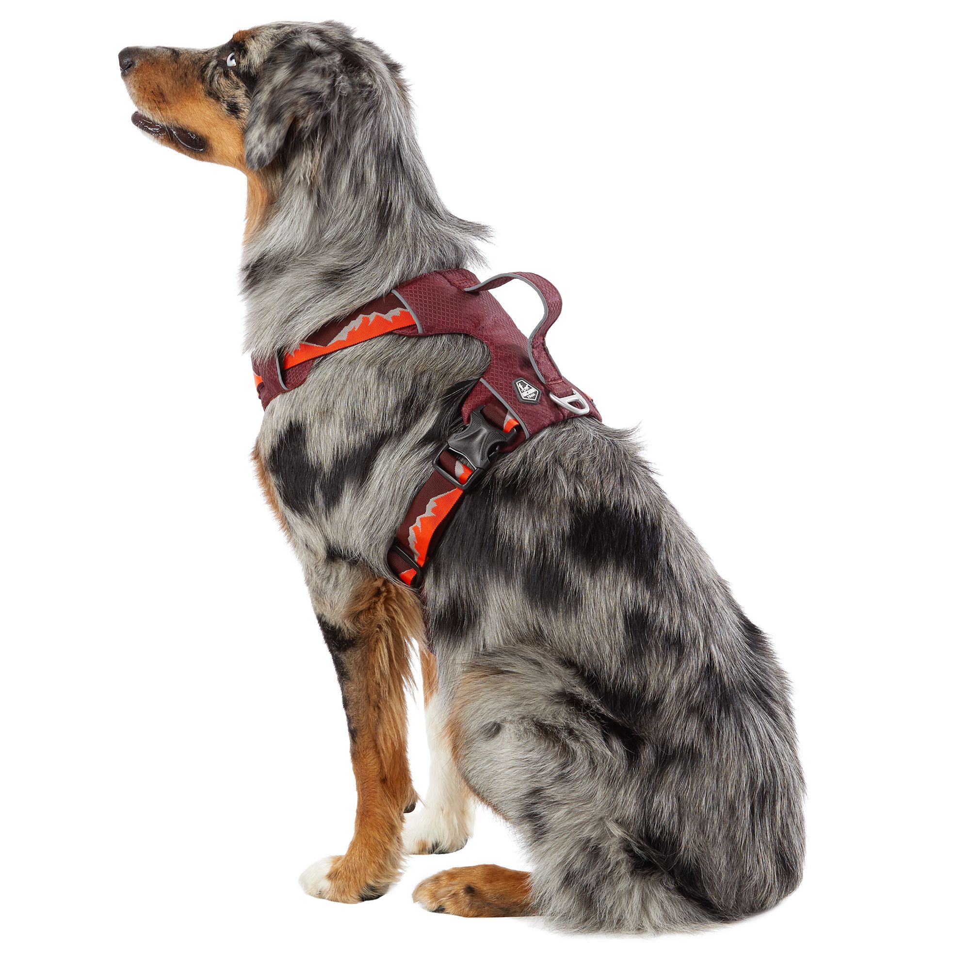 dog lift harness petsmart