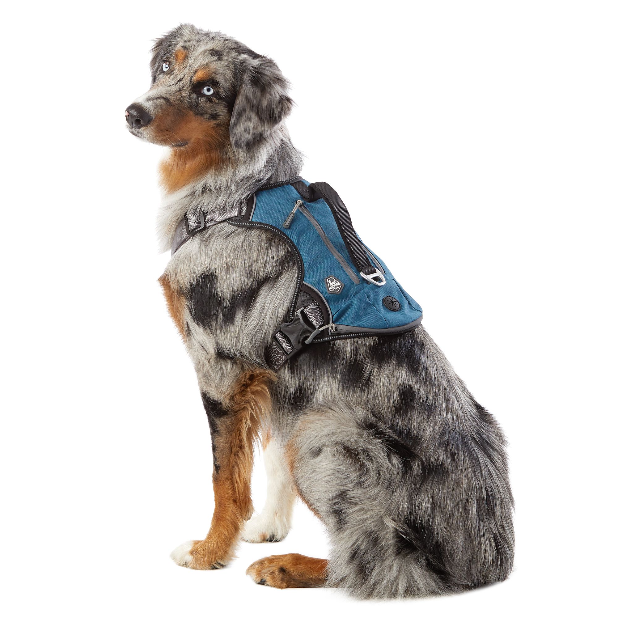dog backpack harness
