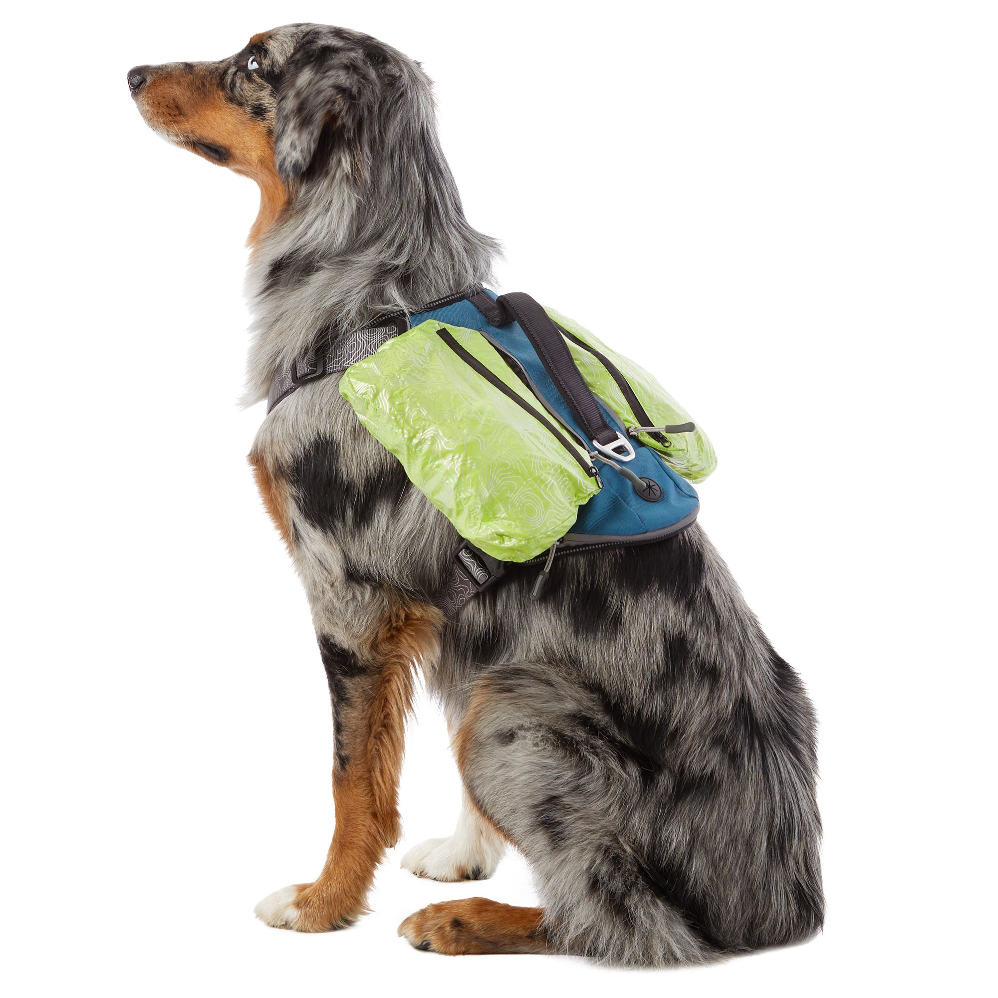 pet dog backpack