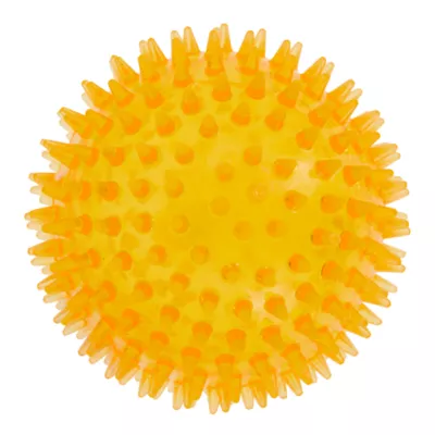 Product Top Paw® Spiky Ball Dog Toy - Squeaker