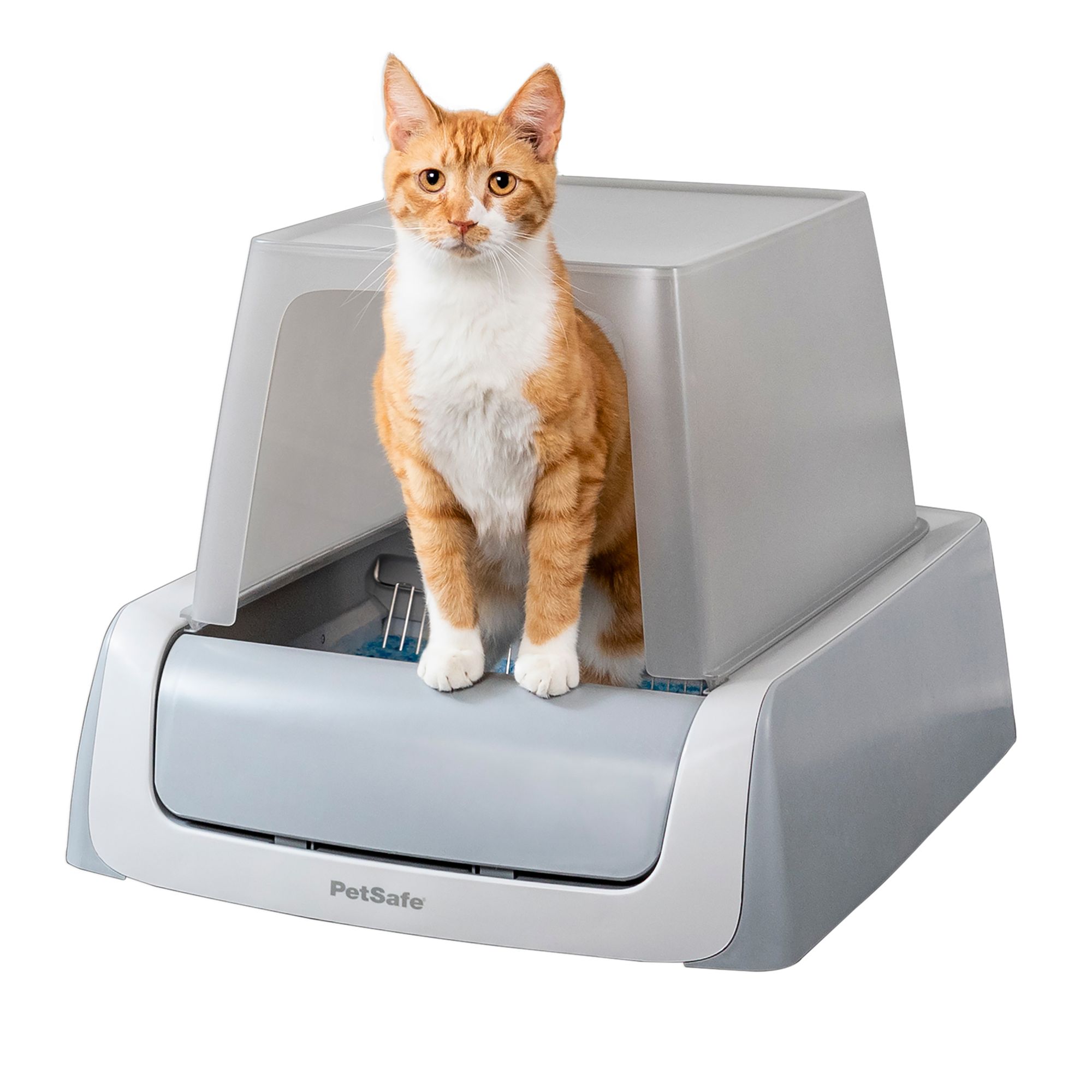 Cat Litter Boxes, Pans & Trays - Cat Litter Box Furniture