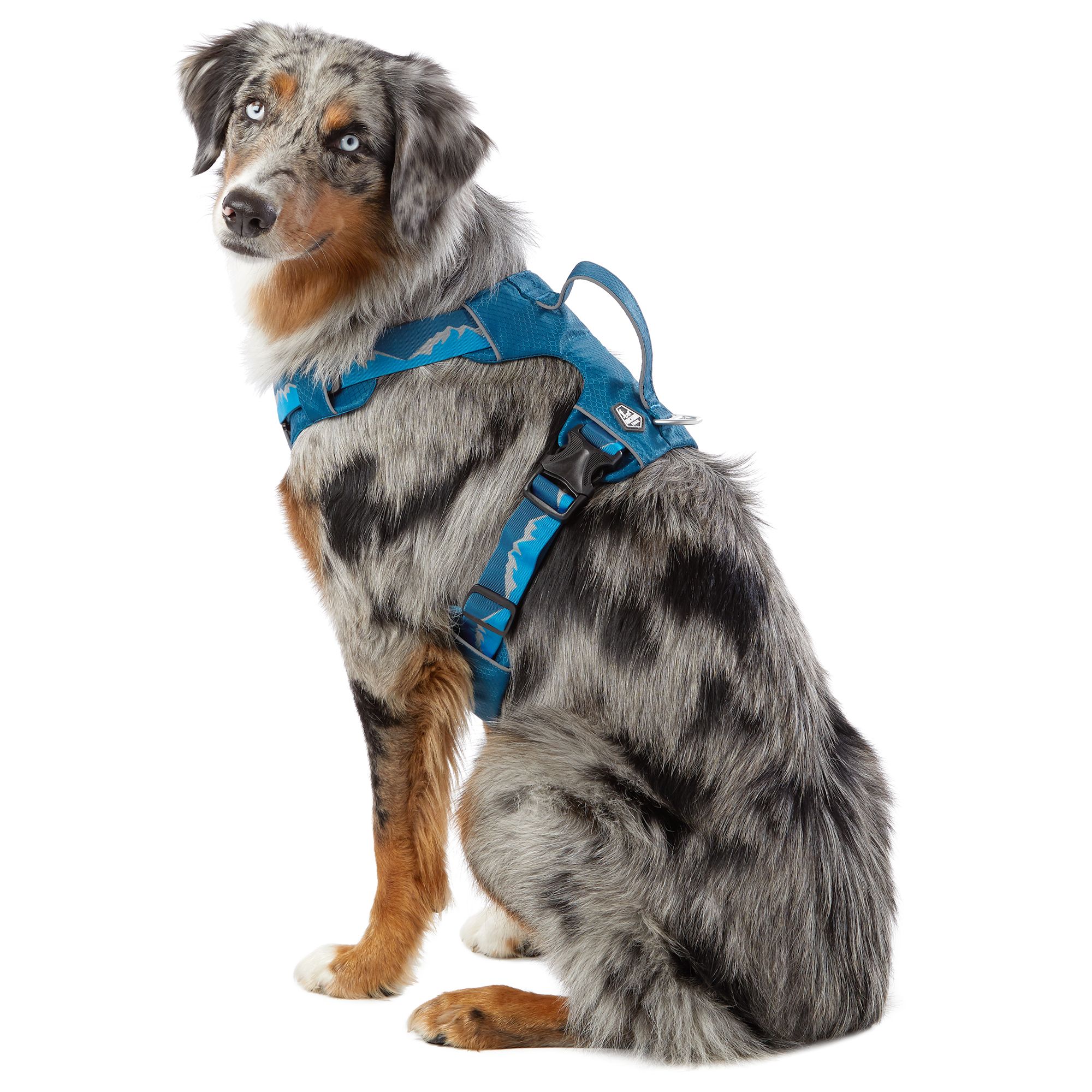 no pull dog harness petsmart