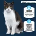 Authority® Everyday Health Indoor Cat Wet Food - 5.5 Oz, Pate, With-Grain image thumbnail 2