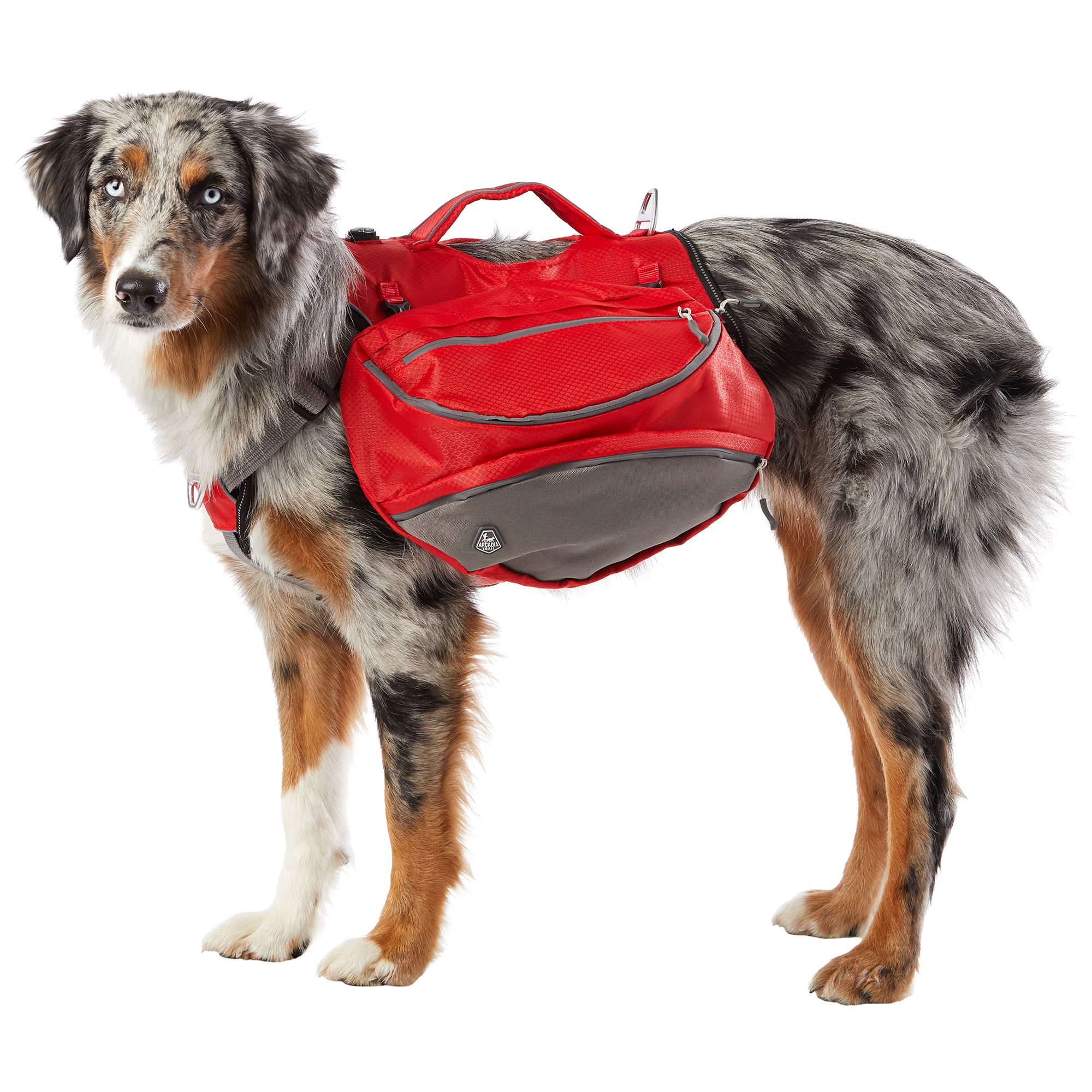 small dog backpack harness