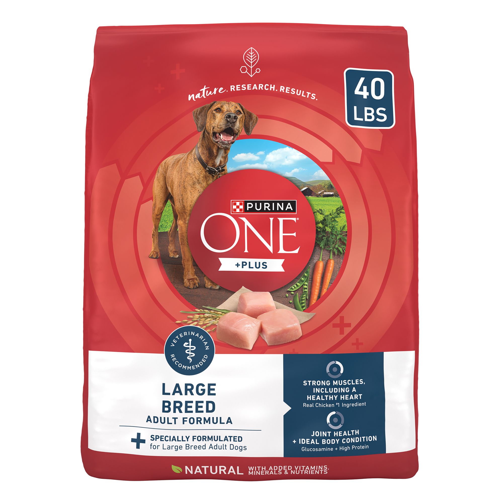 Purina ONE Plus Large Breed Adult Dog Dry Food Chicken Natural Antioxidants