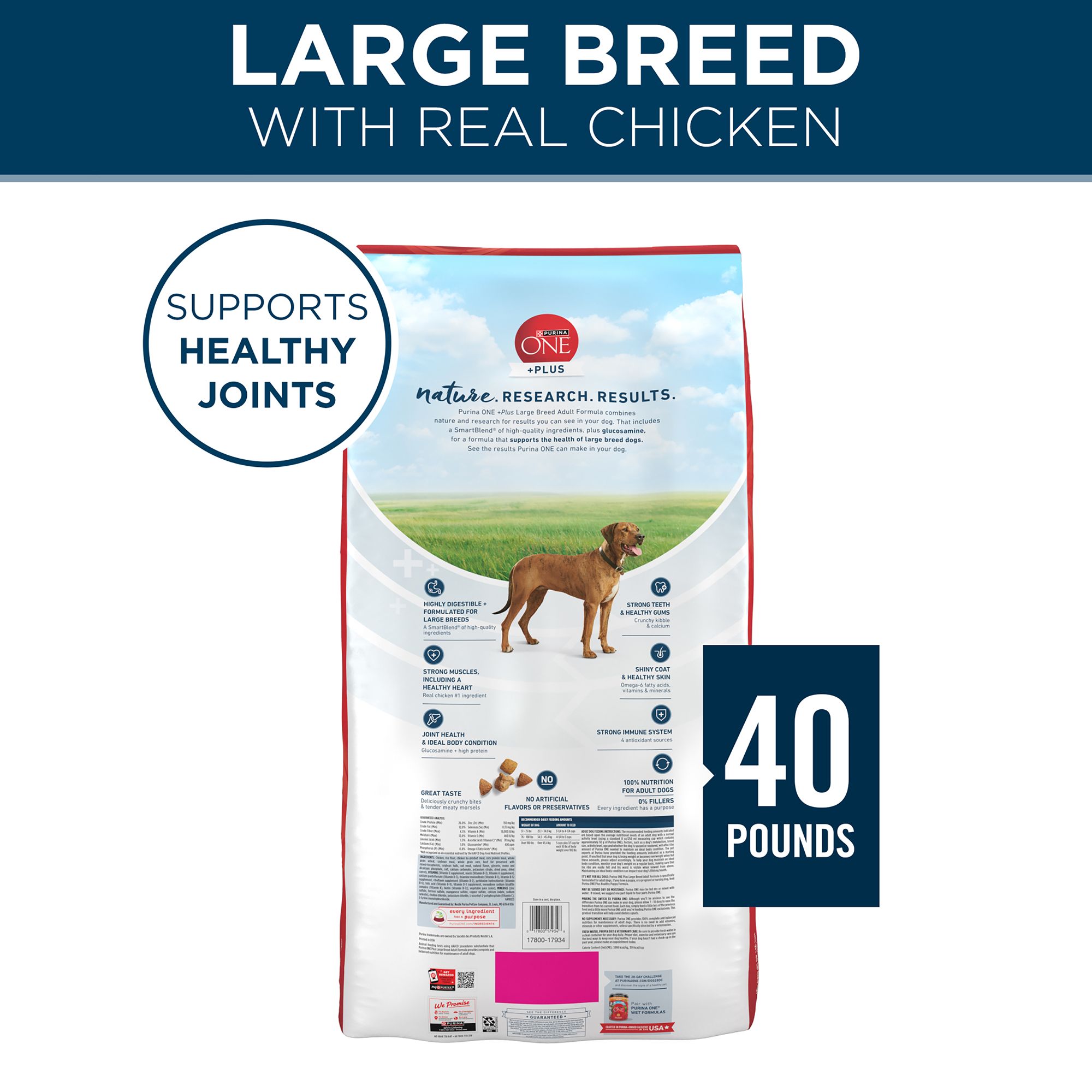 Purina® ONE® +Plus Large Breed Adult Dog Dry Food - Chicken, Natural