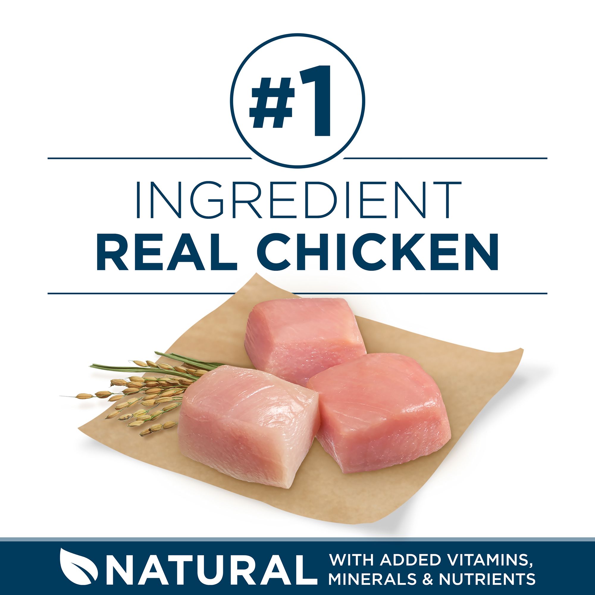 purina one large breed puppy petsmart