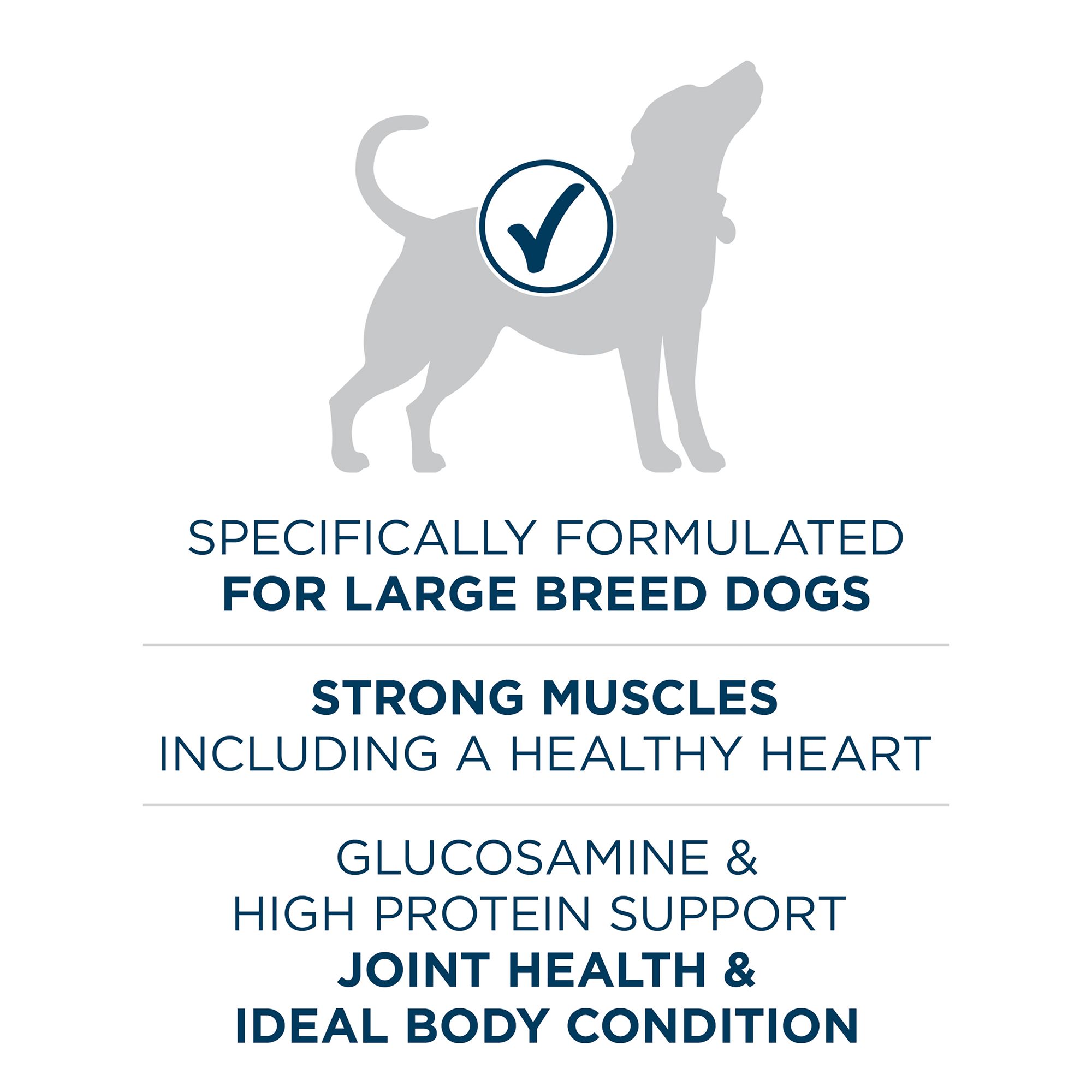Purina® ONE® +Plus Large Breed Adult Dog Dry Food - Chicken, Natural - thumbnail 5