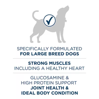 Product Purina® ONE® +Plus Large Breed Adult Dog Dry Food - Chicken, Natural