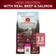 Product Purina ONE® True Instinct Adult Dog Dry Food - Beef, All Natural, High-Protein