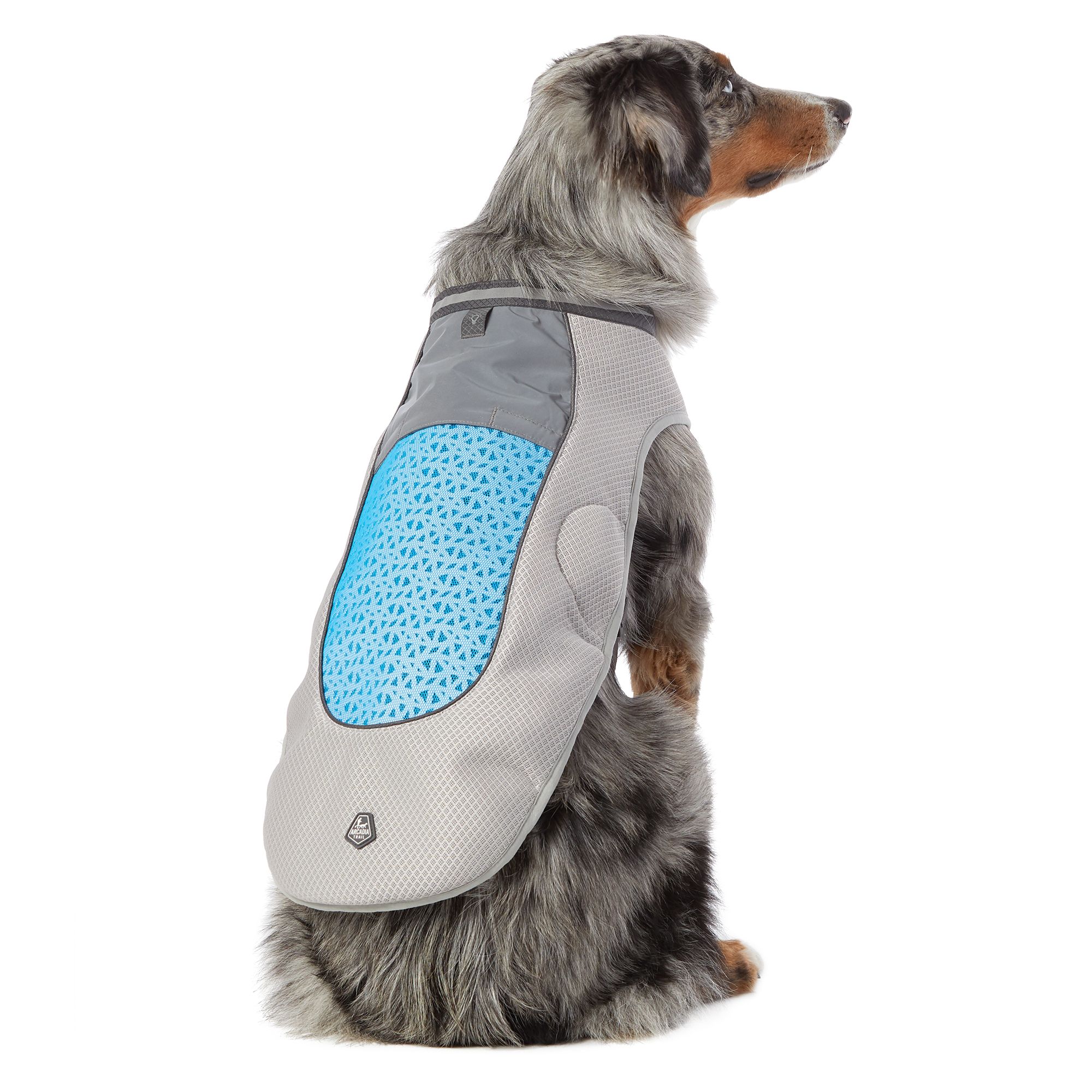 reflective dog vest petsmart