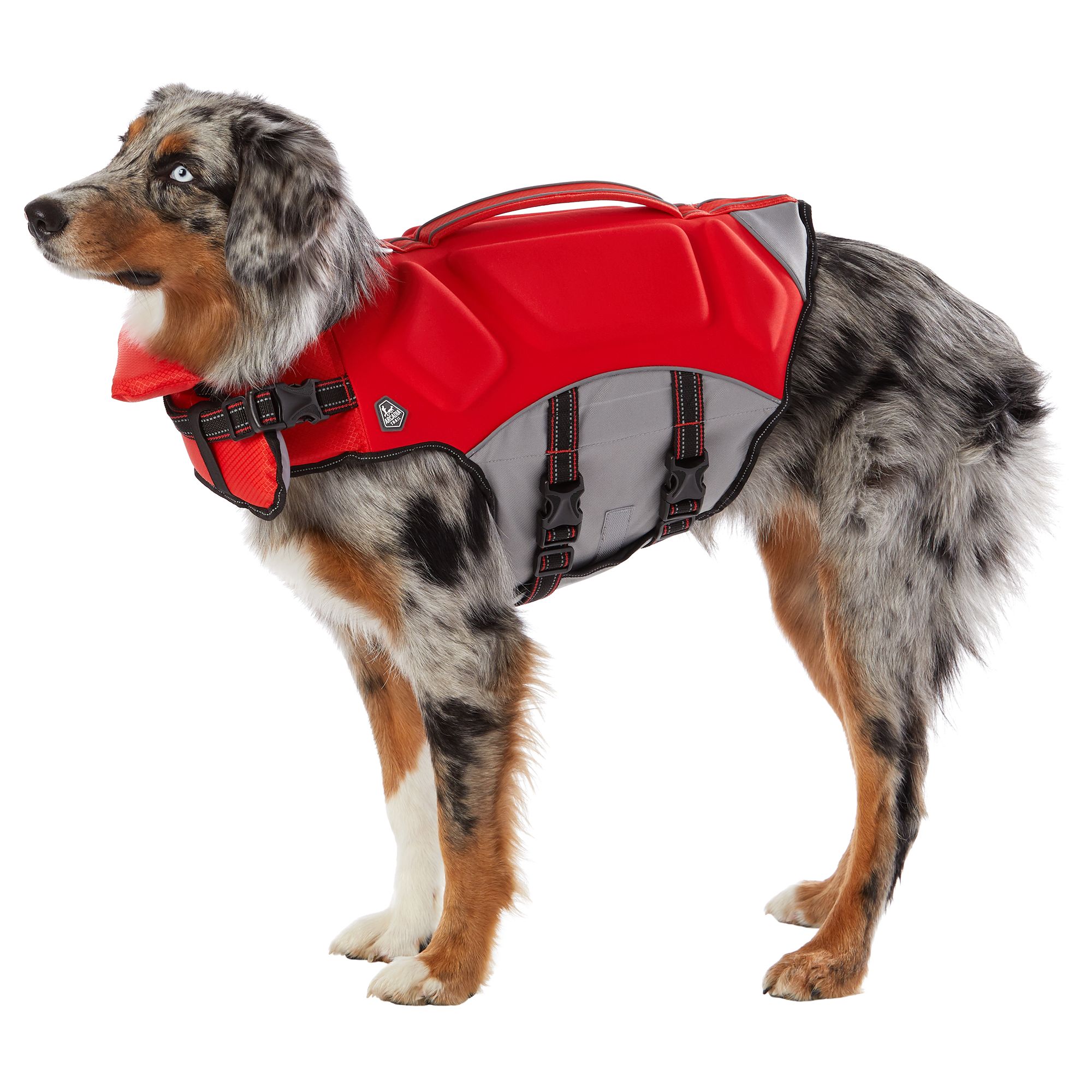 extra small dog life jacket