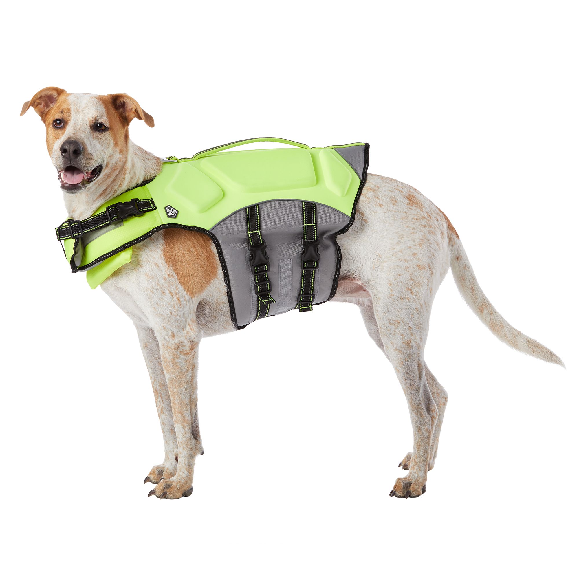 chewy dog life jacket