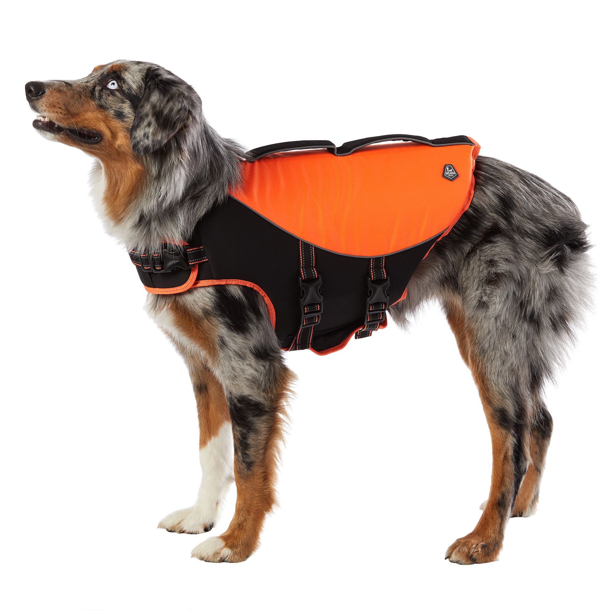 Dog Life Jackets, Vests \u0026 Swimsuits 