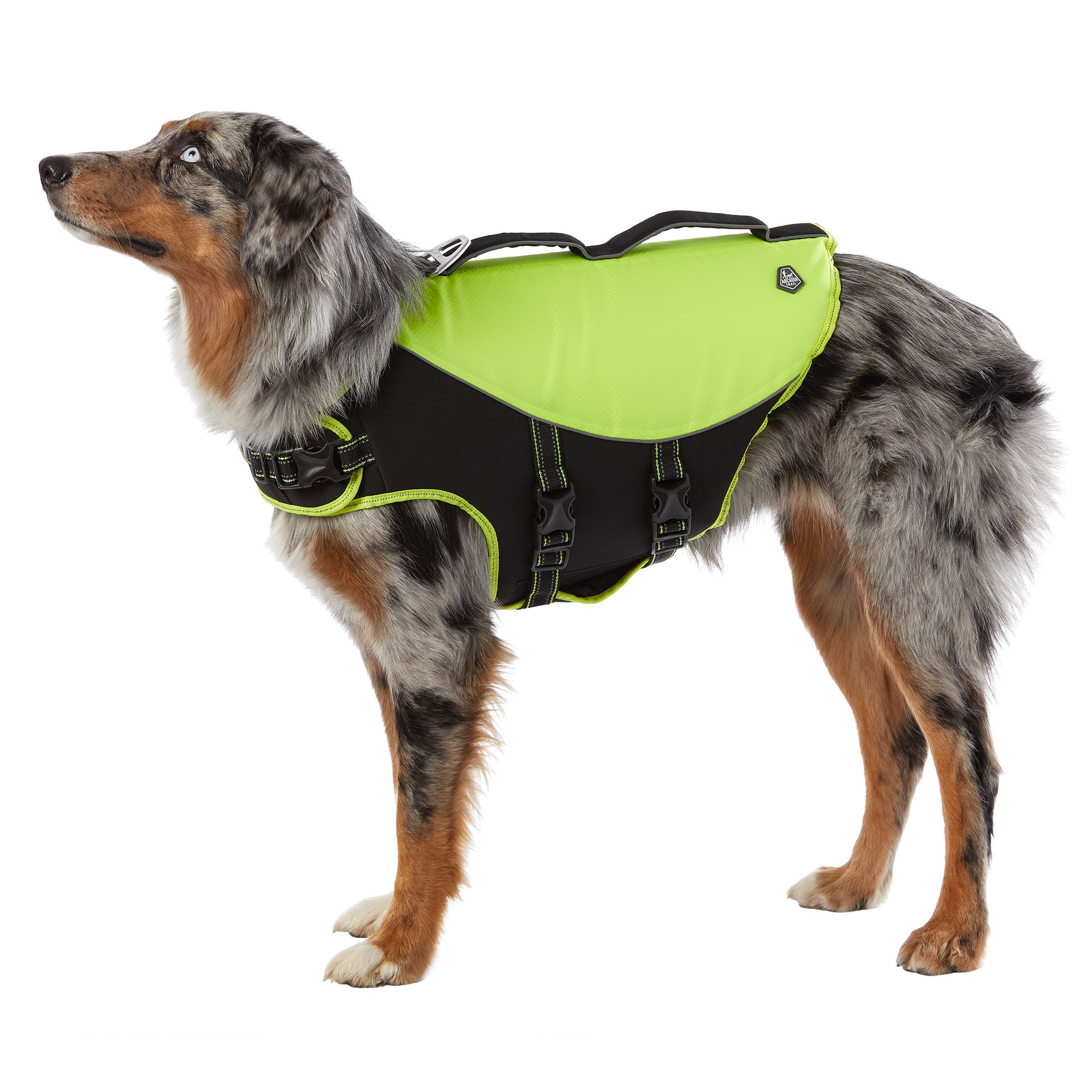 dog buoyancy vest