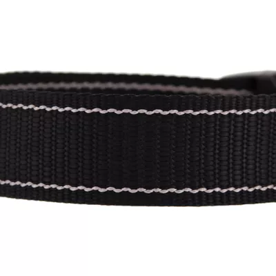 Product KONG® MAX Dog Collar