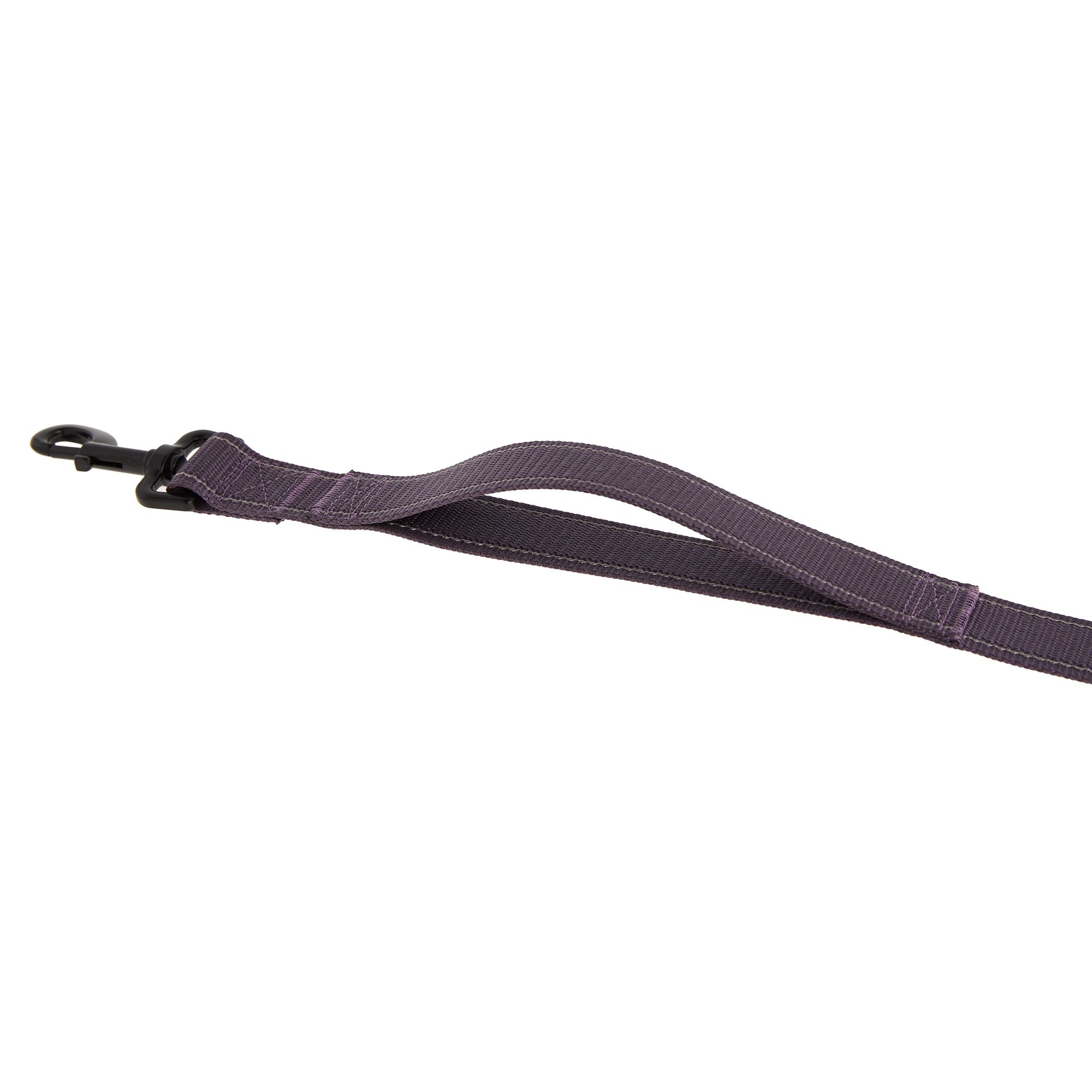 kong leash warranty petsmart