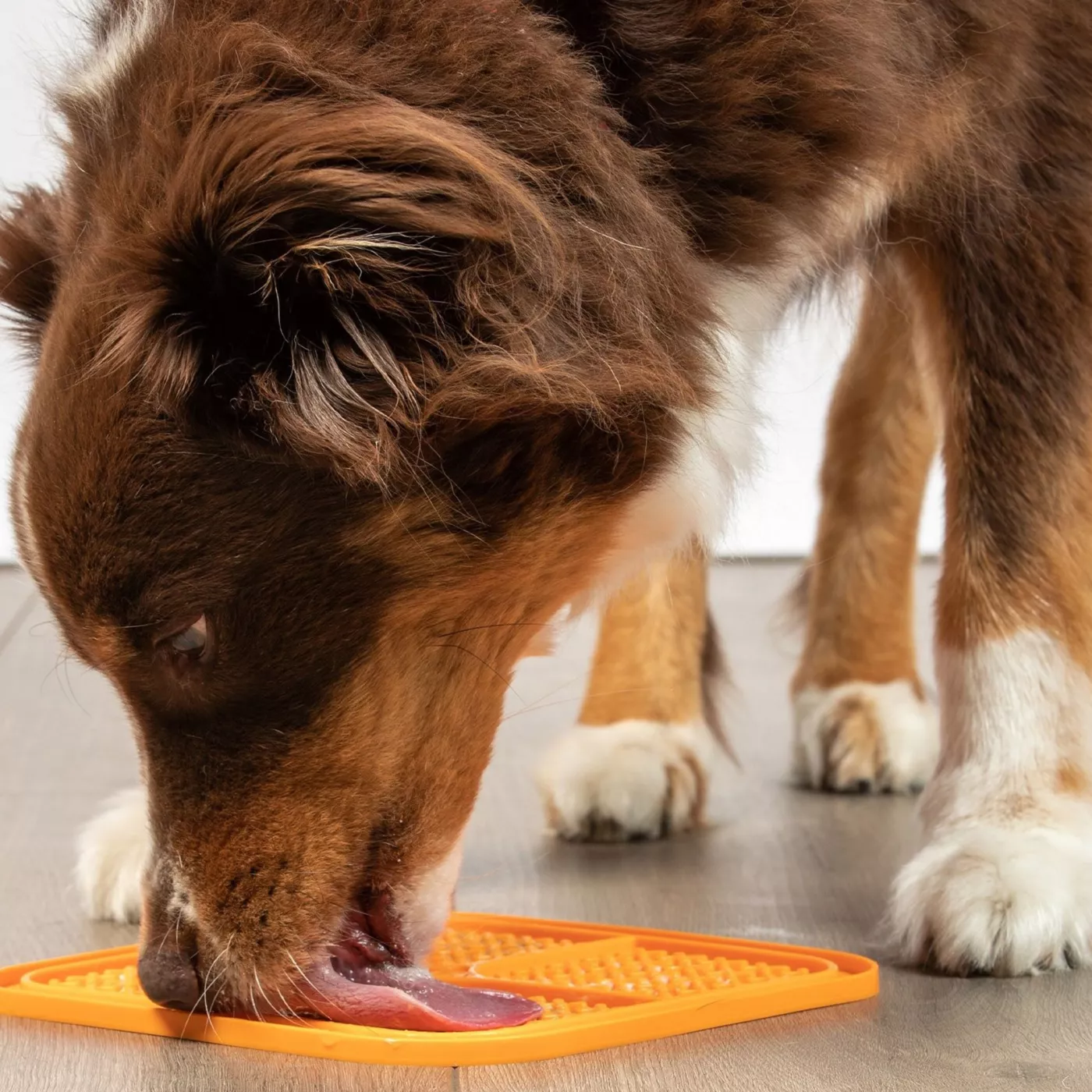 Pet Zone Boredom Busters Slow Feeder Licking Mat