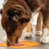 Pet Zone Boredom Busters™ Slow Feeder Licking Mat image thumbnail 3