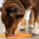 Product Pet Zone Boredom Busters™ Slow Feeder Licking Mat