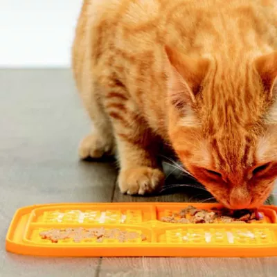 Product Pet Zone Boredom Busters™ Slow Feeder Licking Mat