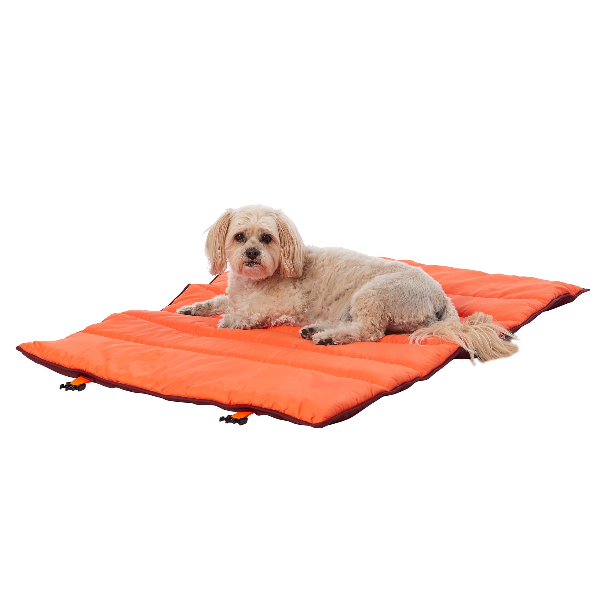 outdoor dog mat