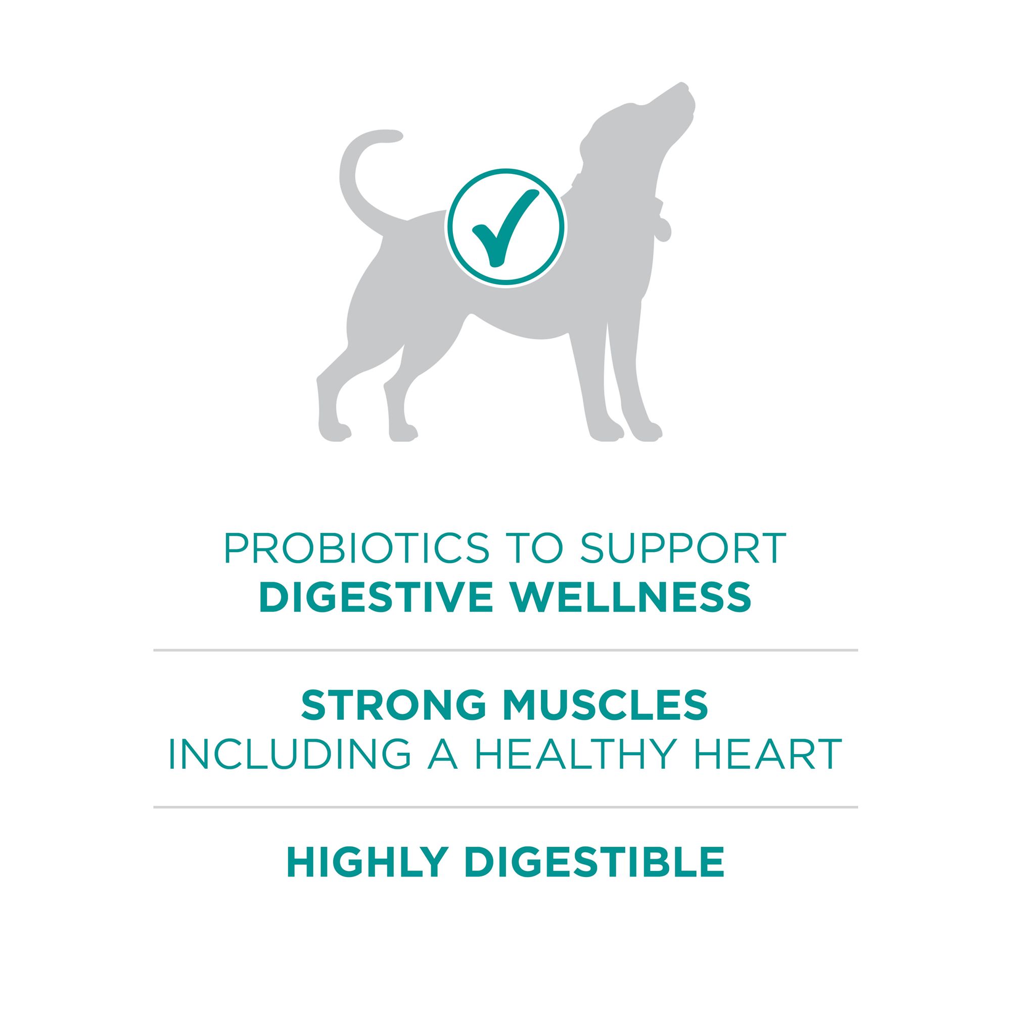 purina one digestive health