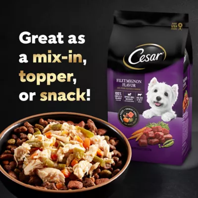 Cesar Simply Crafted Variety Pack Chicken Beef Limited Ingredient Wet Dog Food Topper 16 ct