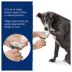 Top Paw® Large Metal Guillotine Pet Nail Clipper image thumbnail 2