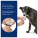 Product Top Paw® Large Metal Guillotine Pet Nail Clipper